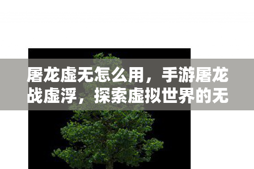屠龙虚无怎么用，手游屠龙战虚浮，探索虚拟世界的无尽冒险
