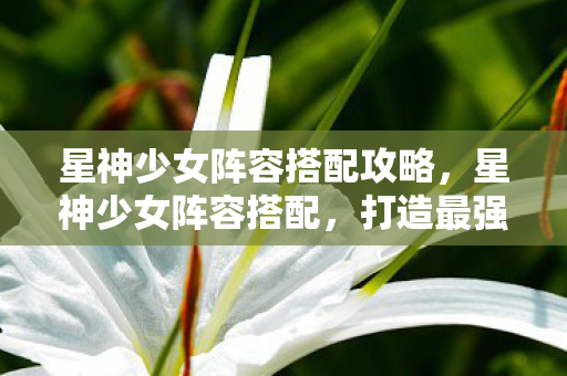星神少女阵容搭配攻略，星神少女阵容搭配，打造最强战斗组合