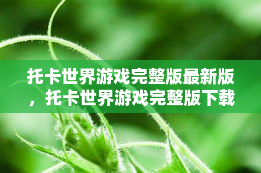 托卡世界游戏完整版最新版，托卡世界游戏完整版下载2022