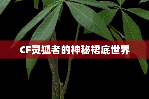 CF灵狐者的神秘裙底世界 CF灵狐者的神秘裙底世界