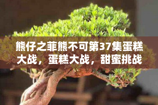 熊仔之菲熊不可第37集蛋糕大战,蛋糕大战,甜蜜挑战,创意无限的烘焙盛宴 熊仔之菲熊不可第37集蛋糕大战,蛋糕大战,甜蜜挑战,创意无限的烘焙盛宴