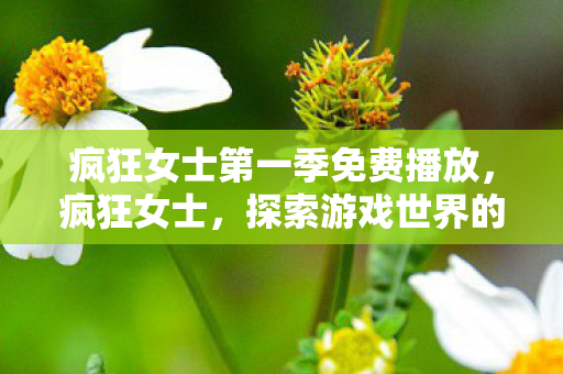 疯狂女士第一季免费播放,疯狂女士,探索游戏世界的无限可能 疯狂女士第一季免费播放,疯狂女士,探索游戏世界的无限可能