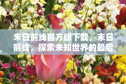 末日前线官方版下载,末日前线,探索未知世界的最后防线 末日前线官方版下载,末日前线,探索未知世界的最后防线