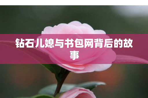 钻石儿媳与书包网背后的故事 钻石儿媳与书包网背后的故事