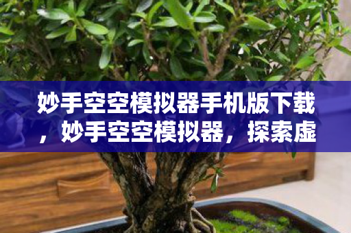 妙手空空模拟器手机版下载，妙手空空模拟器，探索虚拟世界的无限可能