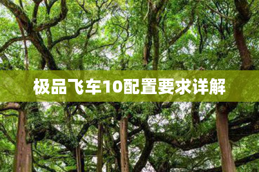 极品飞车10配置要求详解 极品飞车10配置要求详解
