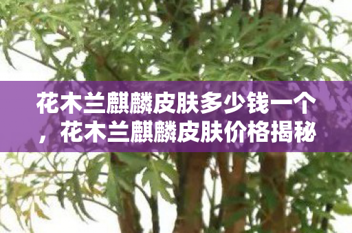 花木兰麒麟皮肤多少钱一个，花木兰麒麟皮肤价格揭秘，美丽与荣耀的完美结合