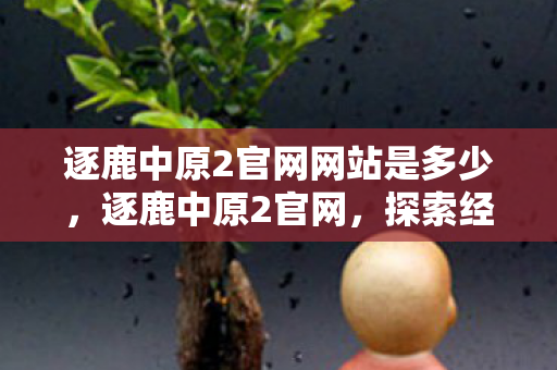 逐鹿中原2官网网站是多少，逐鹿中原2官网，探索经典游戏的全新世界