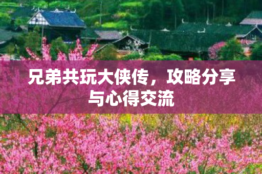 兄弟共玩大侠传，攻略分享与心得交流