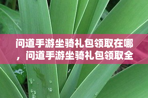 问道手游坐骑礼包领取在哪，问道手游坐骑礼包领取全攻略