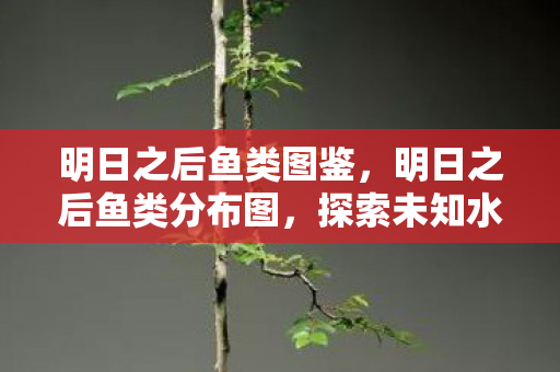 明日之后鱼类图鉴，明日之后鱼类分布图，探索未知水域，解锁丰富鱼种