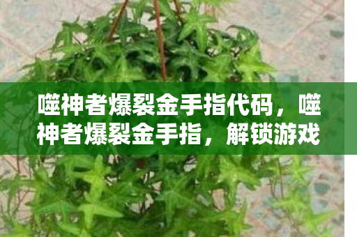 噬神者爆裂金手指代码，噬神者爆裂金手指，解锁游戏新境界的秘宝