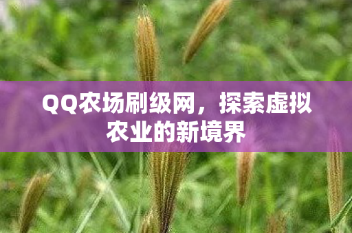 QQ农场刷级网,探索虚拟农业的新境界 QQ农场刷级网,探索虚拟农业的新境界
