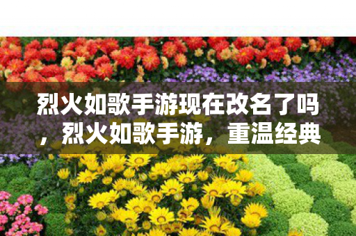 烈火如歌手游现在改名了吗，烈火如歌手游，重温经典，再续前缘