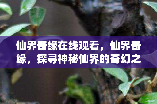 探寻神秘仙界的奇幻之旅图片