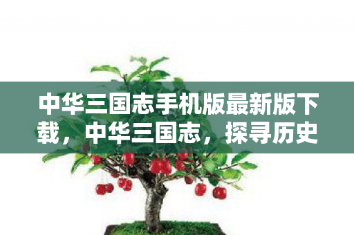 中华三国志手机版最新版下载，中华三国志，探寻历史长河中的智慧与策略