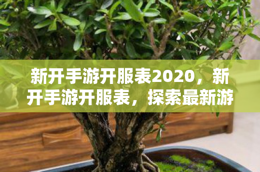 新开手游开服表2020，新开手游开服表，探索最新游戏世界，开启无限可能