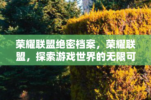 荣耀联盟绝密档案，荣耀联盟，探索游戏世界的无限可能