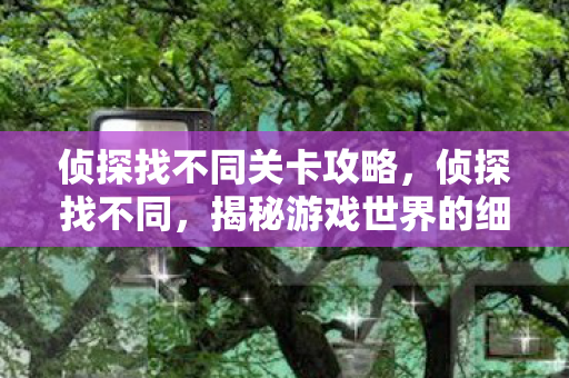 侦探找不同关卡攻略,侦探找不同,揭秘游戏世界的细微差异 侦探找不同关卡攻略,侦探找不同,揭秘游戏世界的细微差异