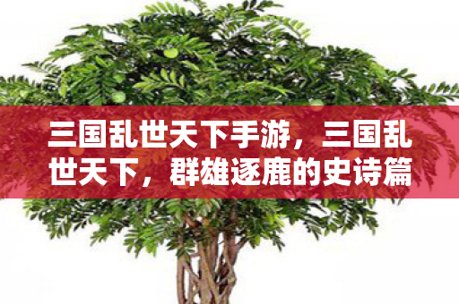 三国乱世天下手游，三国乱世天下，群雄逐鹿的史诗篇章