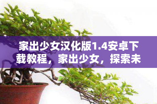 家出少女汉化版1.4安卓下载教程,家出少女,探索未知世界的勇气与自由 家出少女汉化版1.4安卓下载教程,家出少女,探索未知世界的勇气与自由