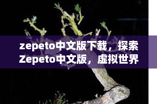 zepeto中文版下载,探索Zepeto中文版,虚拟世界的无限可能 zepeto中文版下载,探索Zepeto中文版,虚拟世界的无限可能