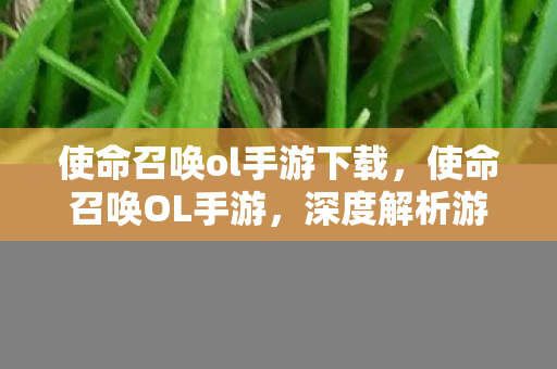 使命召唤ol手游下载,使命召唤OL手游,深度解析游戏特色与玩家体验 使命召唤ol手游下载,使命召唤OL手游,深度解析游戏特色与玩家体验