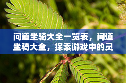 问道坐骑大全一览表,问道坐骑大全,探索游戏中的灵动伙伴 问道坐骑大全一览表,问道坐骑大全,探索游戏中的灵动伙伴