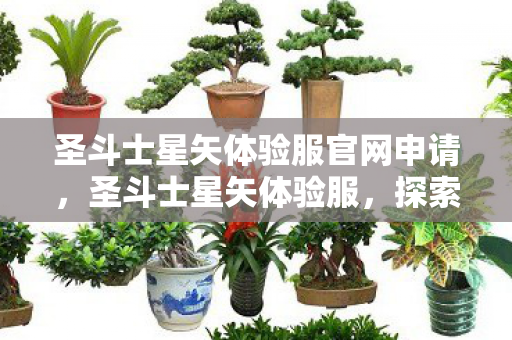 圣斗士星矢体验服官网申请，圣斗士星矢体验服，探索未竟的斗士世界