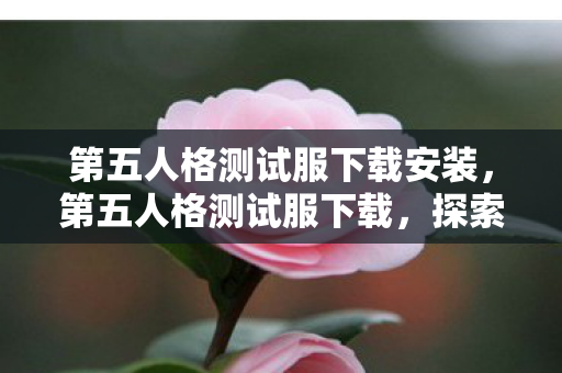 第五人格测试服下载安装，第五人格测试服下载，探索未知的游戏世界