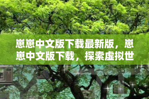 崽崽中文版下载最新版，崽崽中文版下载，探索虚拟世界的无限可能