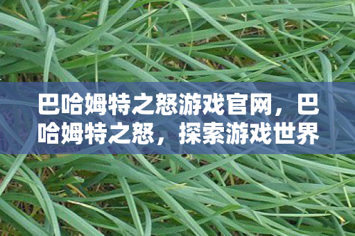 巴哈姆特之怒游戏官网,巴哈姆特之怒,探索游戏世界的无限可能 巴哈姆特之怒游戏官网,巴哈姆特之怒,探索游戏世界的无限可能