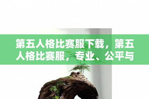 第五人格比赛服下载，第五人格比赛服，专业、公平与竞技的完美结合