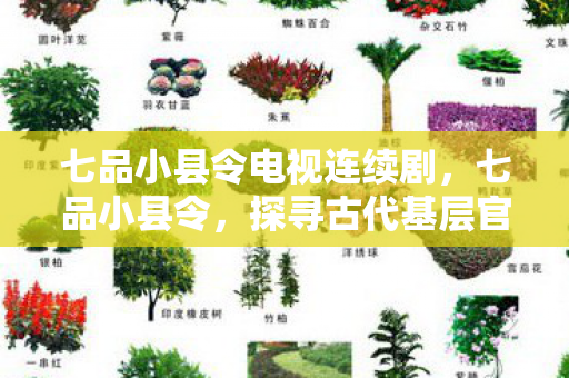 七品小县令电视连续剧，七品小县令，探寻古代基层官员的治理智慧