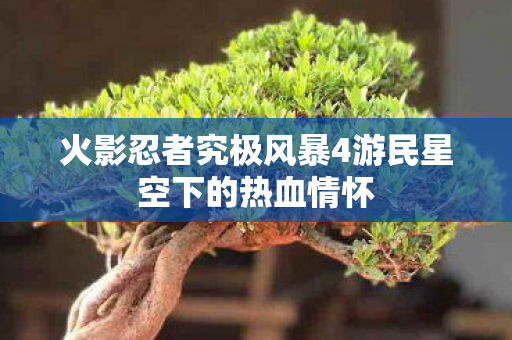 火影忍者究极风暴4游民星空下的热血情怀