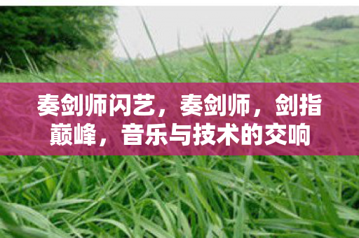 奏剑师闪艺,奏剑师,剑指巅峰,音乐与技术的交响 奏剑师闪艺,奏剑师,剑指巅峰,音乐与技术的交响
