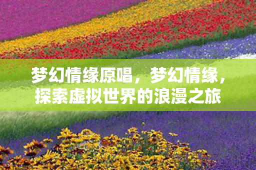 梦幻情缘原唱，梦幻情缘，探索虚拟世界的浪漫之旅