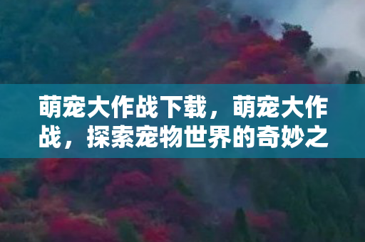 萌宠大作战下载,萌宠大作战,探索宠物世界的奇妙之旅 萌宠大作战下载,萌宠大作战,探索宠物世界的奇妙之旅