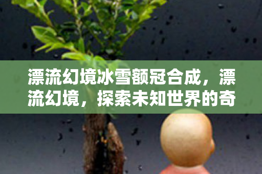 漂流幻境冰雪额冠合成,漂流幻境,探索未知世界的奇幻之旅 漂流幻境冰雪额冠合成,漂流幻境,探索未知世界的奇幻之旅