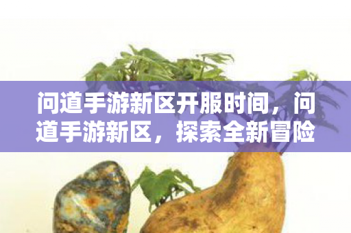问道手游新区开服时间,问道手游新区,探索全新冒险,体验极致乐趣 问道手游新区开服时间,问道手游新区,探索全新冒险,体验极致乐趣