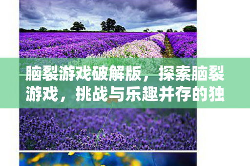 脑裂游戏破解版,探索脑裂游戏,挑战与乐趣并存的独特体验 脑裂游戏破解版,探索脑裂游戏,挑战与乐趣并存的独特体验