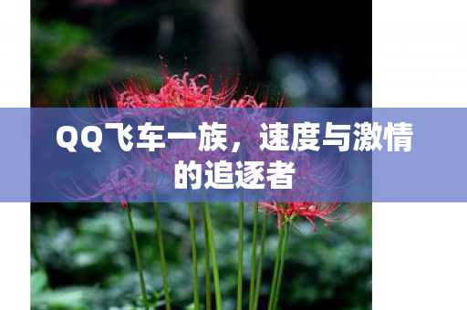 QQ飞车一族，速度与激情的追逐者