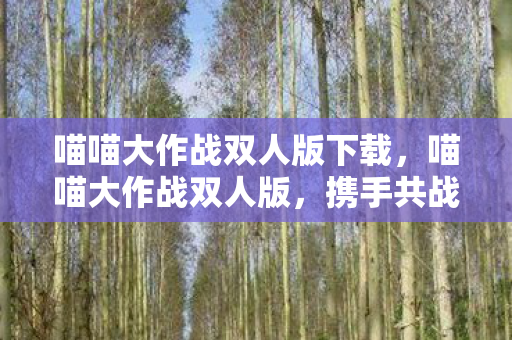 喵喵大作战双人版下载,喵喵大作战双人版,携手共战的欢乐冒险 喵喵大作战双人版下载,喵喵大作战双人版,携手共战的欢乐冒险