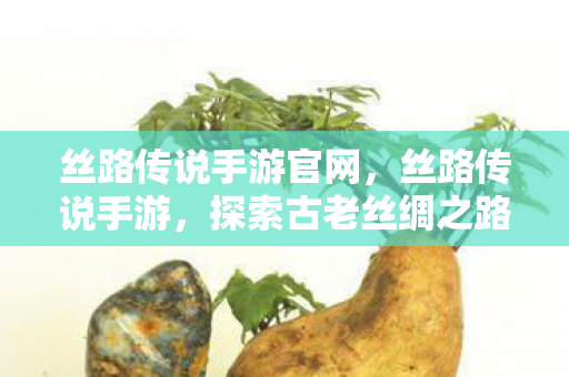 丝路传说手游官网,丝路传说手游,探索古老丝绸之路的奇幻之旅 丝路传说手游官网,丝路传说手游,探索古老丝绸之路的奇幻之旅