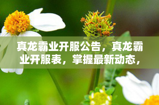 真龙霸业开服公告,真龙霸业开服表,掌握最新动态,畅享游戏盛宴 真龙霸业开服公告,真龙霸业开服表,掌握最新动态,畅享游戏盛宴