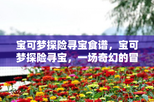 宝可梦探险寻宝食谱,宝可梦探险寻宝,一场奇幻的冒险之旅 宝可梦探险寻宝食谱,宝可梦探险寻宝,一场奇幻的冒险之旅