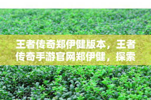 王者传奇郑伊健版本，王者传奇手游官网郑伊健，探索传奇世界的无限可能