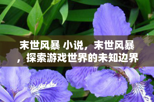 末世风暴 小说,末世风暴,探索游戏世界的未知边界 末世风暴 小说,末世风暴,探索游戏世界的未知边界