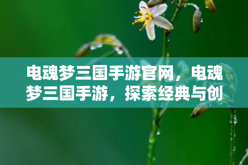 电魂梦三国手游官网,电魂梦三国手游,探索经典与创新的完美结合 电魂梦三国手游官网,电魂梦三国手游,探索经典与创新的完美结合