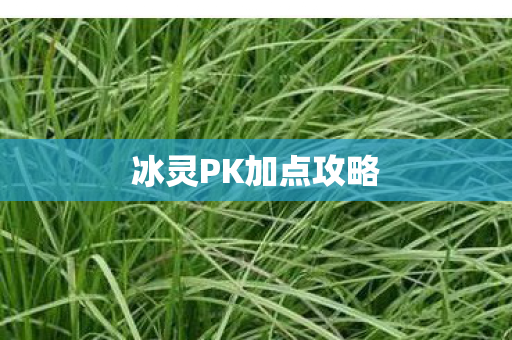 冰灵PK加点攻略
